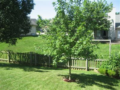 949 Tanbark Road Lexington, KY 40515 - Photo 39 of 41 Photo 39