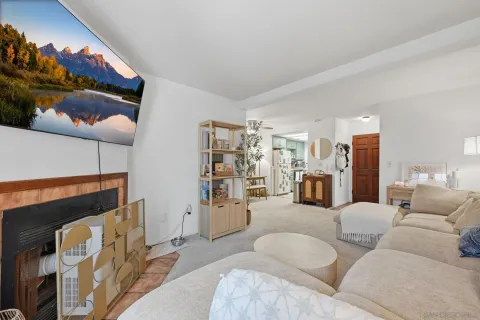 a view of a backyard with potted plants