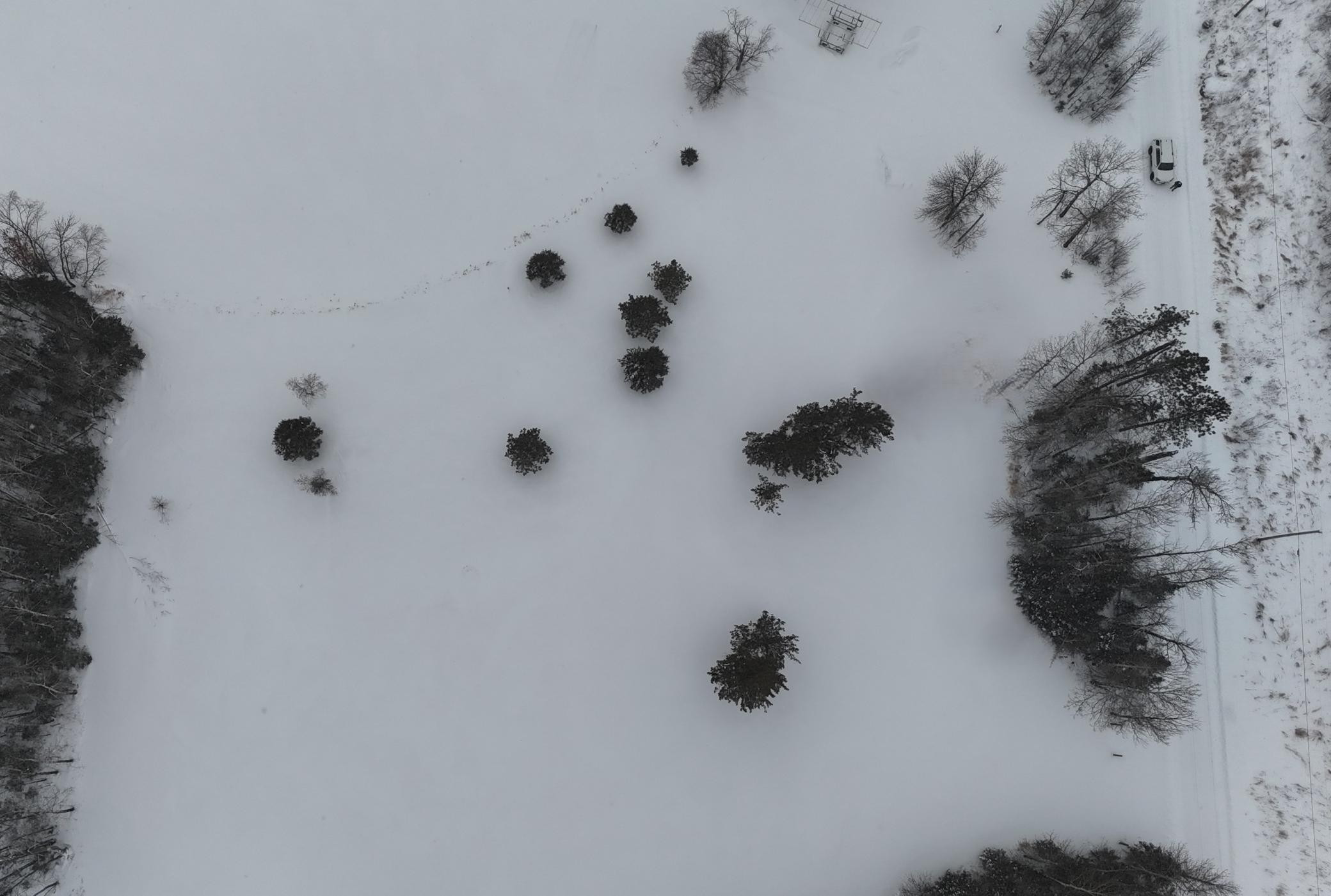 10992 Sweigert Road Orr, MN 55771 - Photo 17 of 17