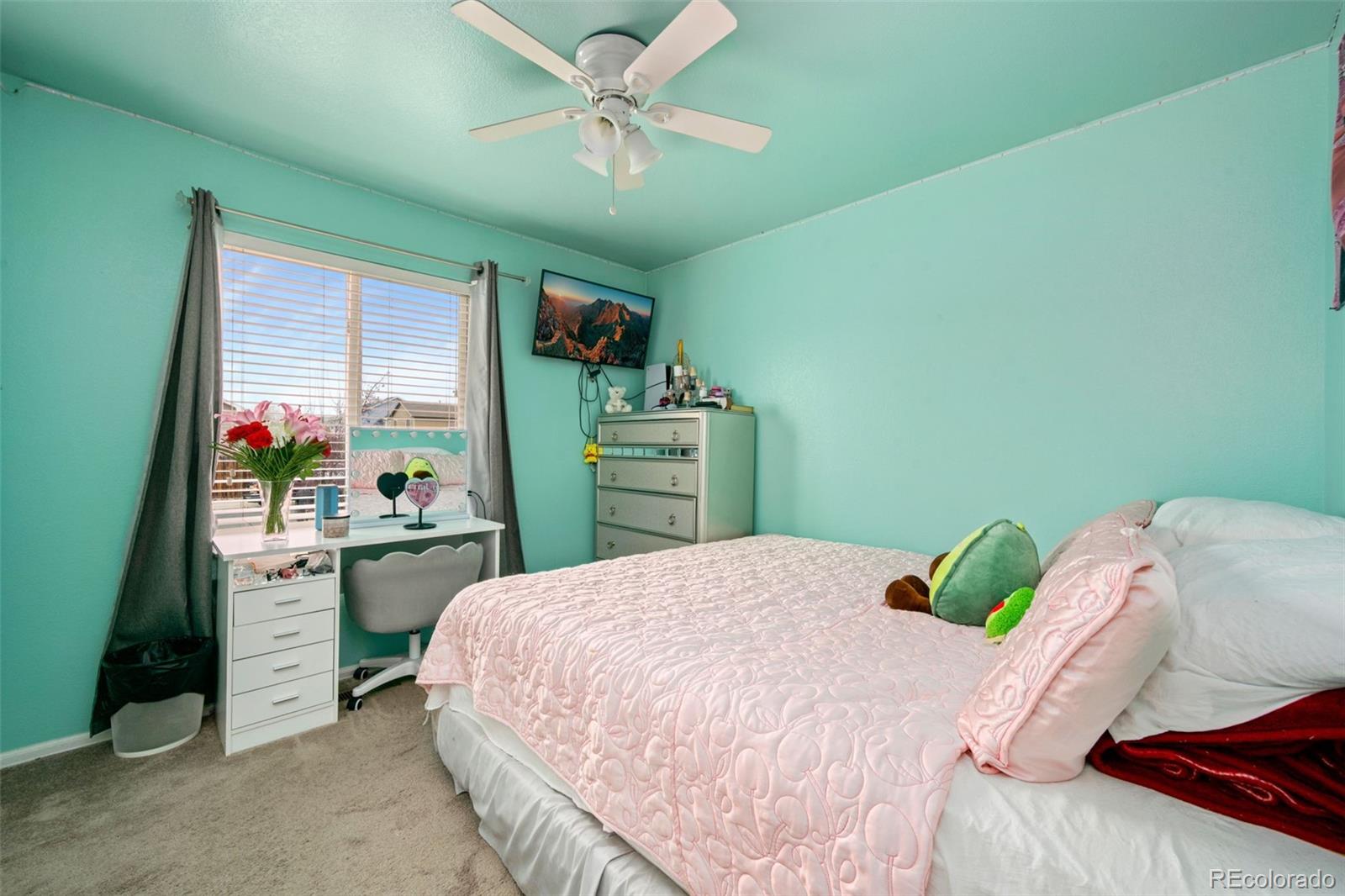 518 East 29th St Road Greeley, CO 80631 - Photo 4 of 16