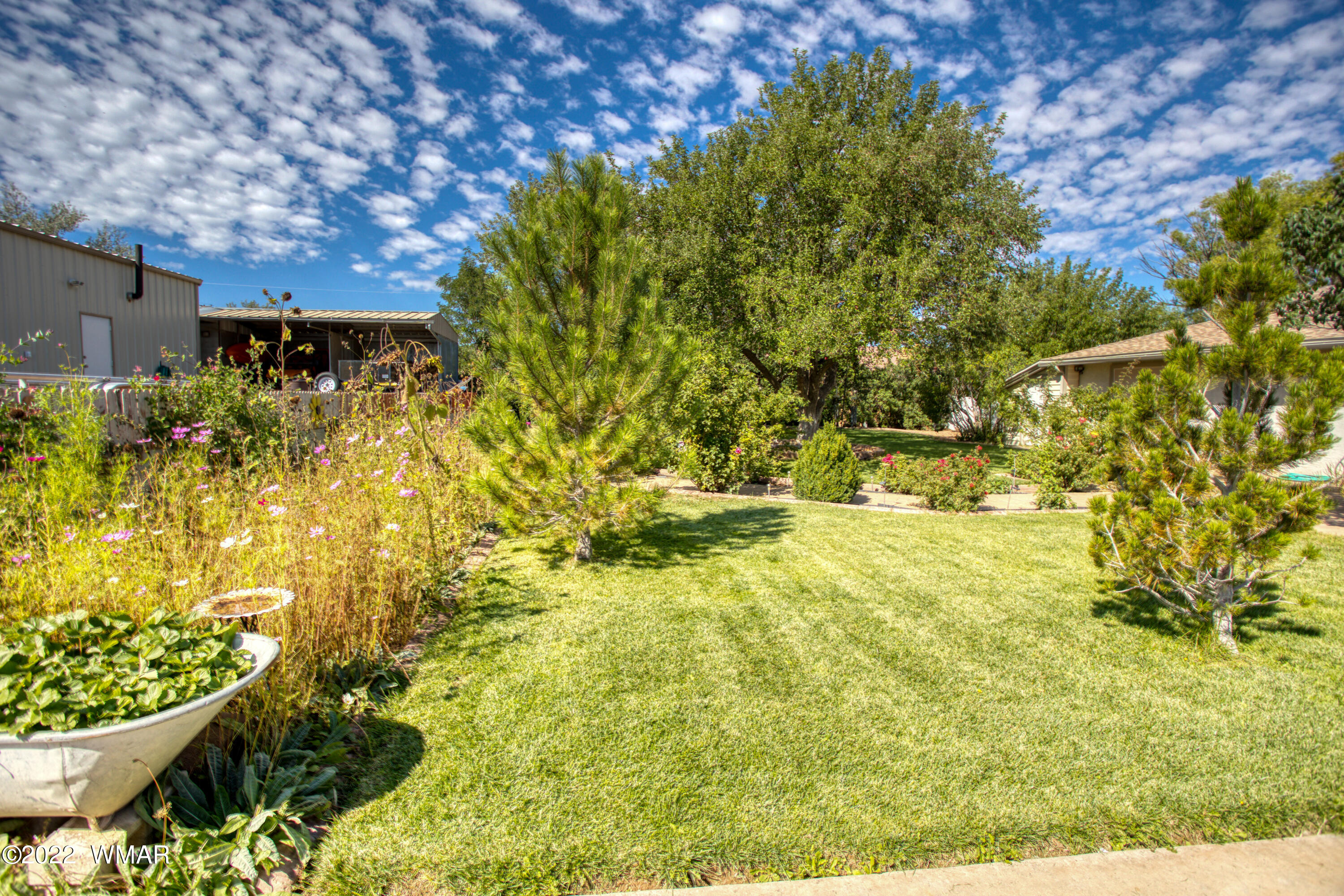 501 West 7th S Street Snowflake, AZ 85937 - Photo 23 of 33 a view of a yard with plants and large trees