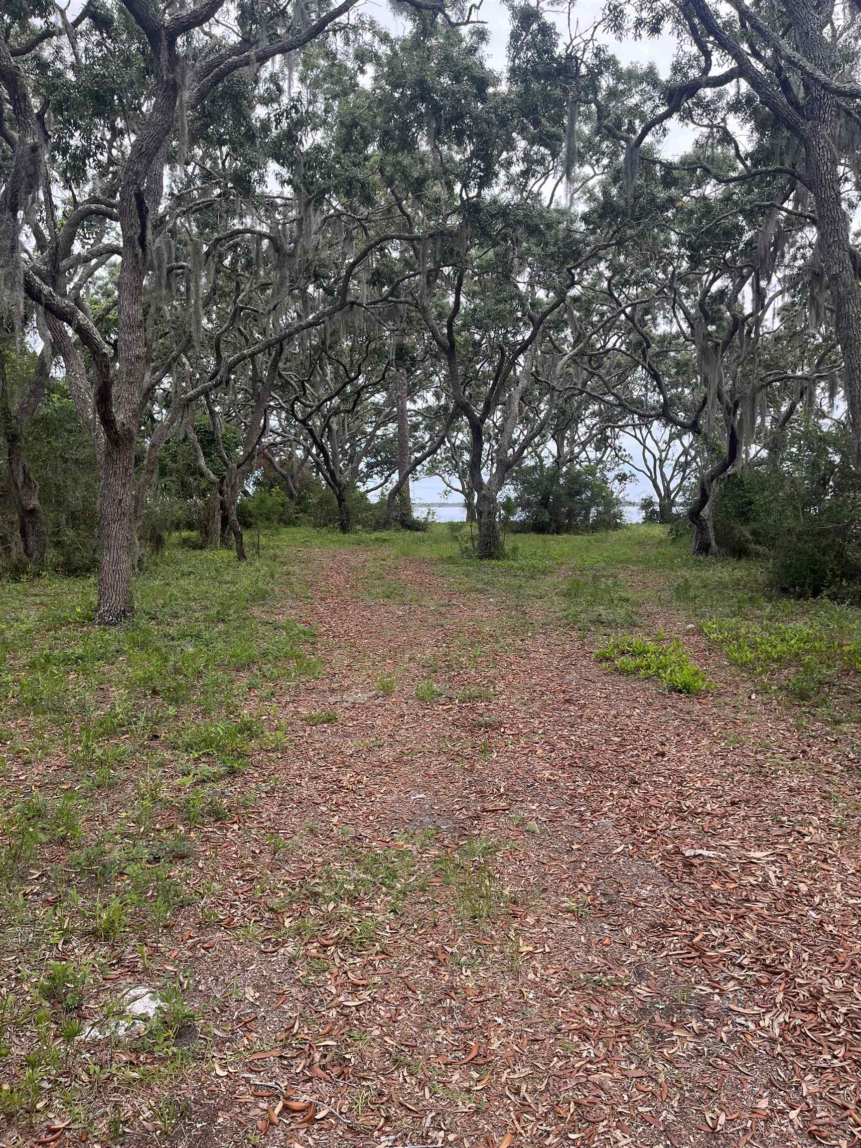 599 Mashes Sands Road Panacea, FL 32346 - Photo 7 of 7