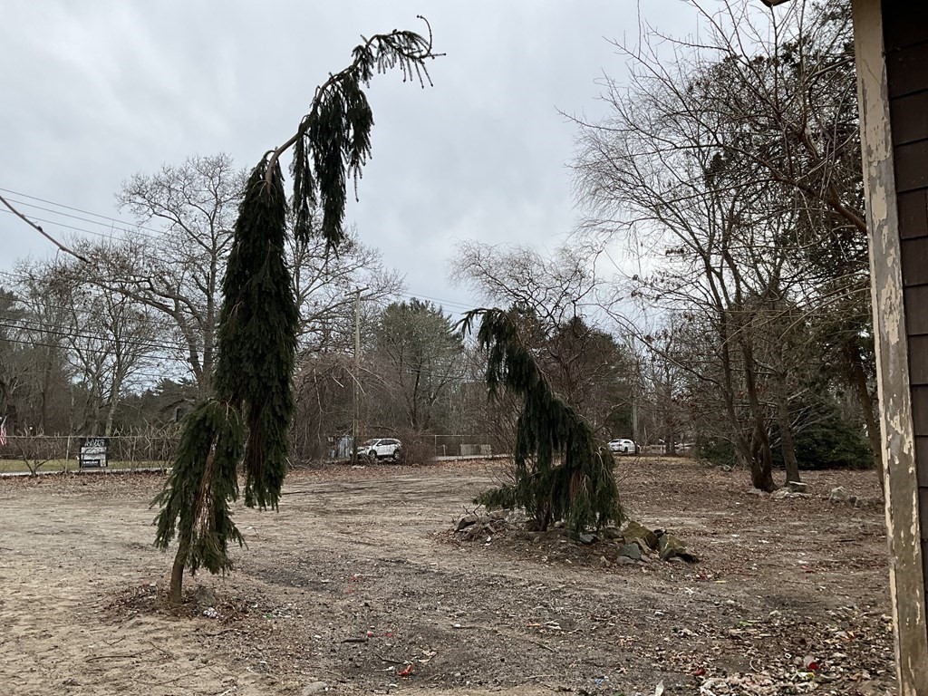 718 Reed Road Dartmouth, MA 02747 - Photo 6 of 14 a view of outdoor space with trees