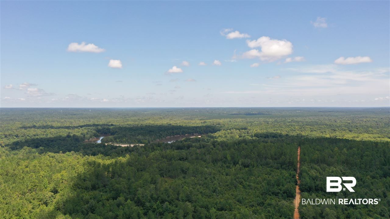 0 Highway 4 Jay, FL 32565 - Photo 28 of 50
