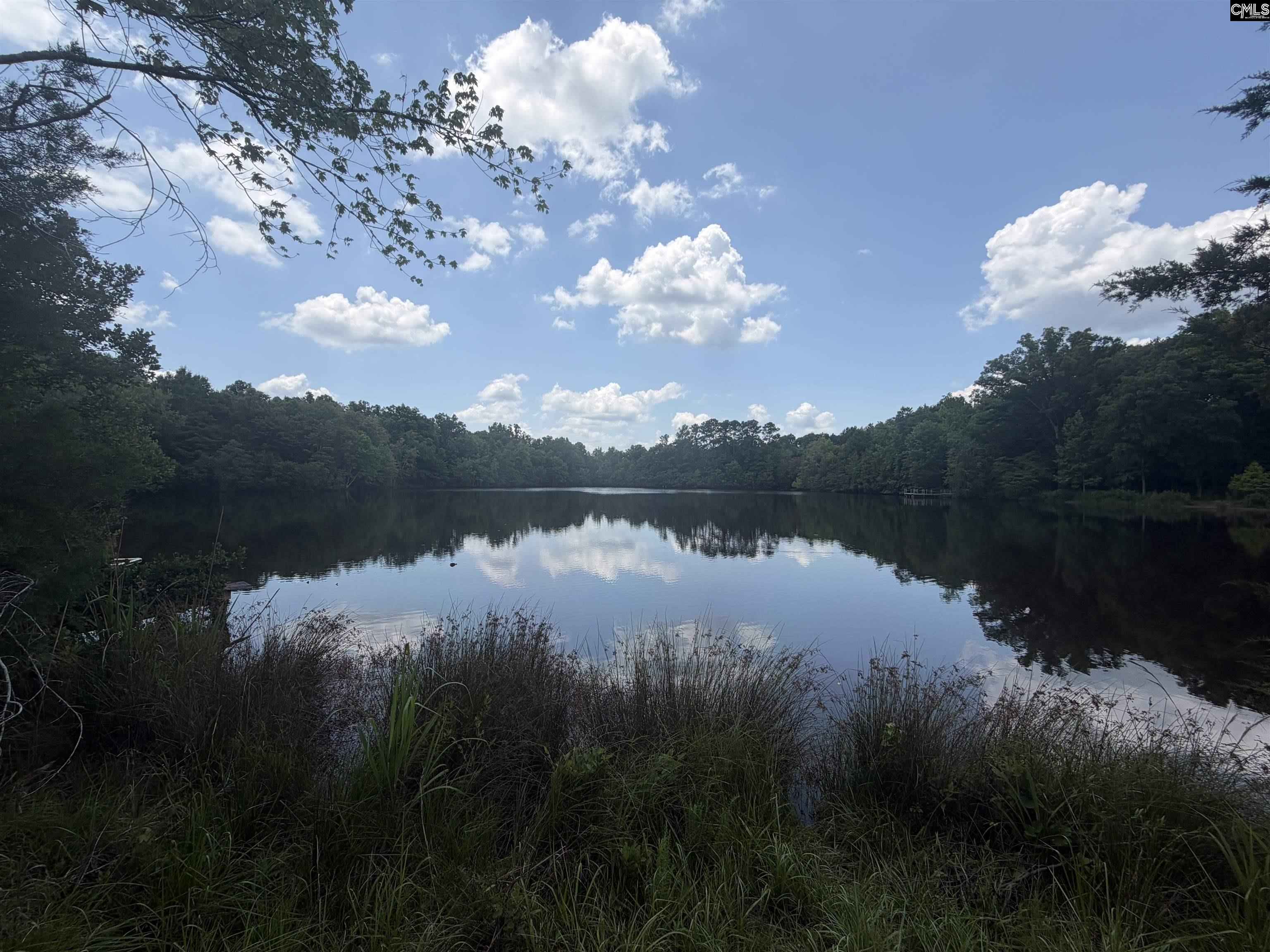 789 Ira Kinard Road Prosperity, SC 29127 - Photo 1 of 4