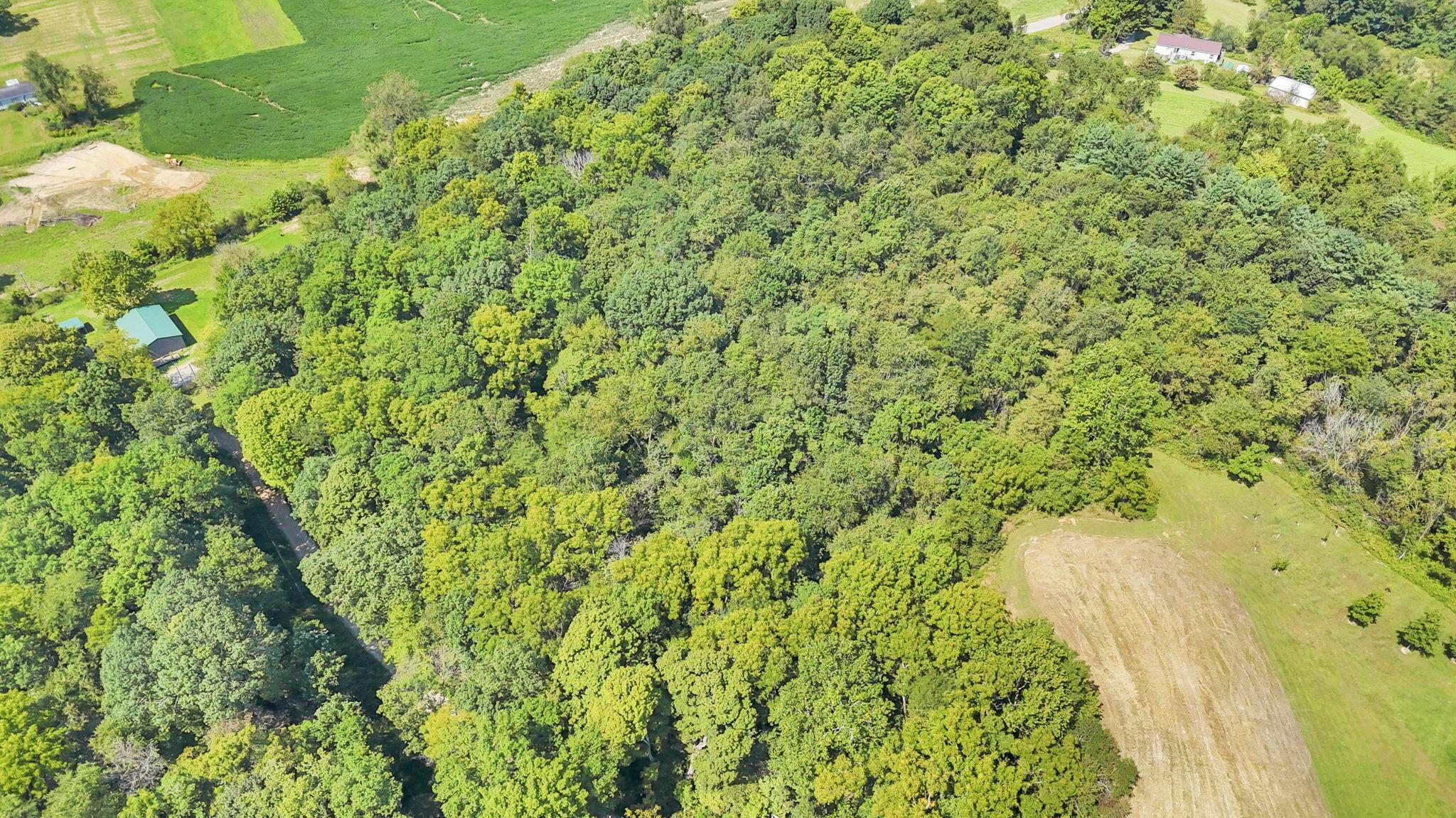14300 Mt Perry Road Mount Perry, OH 43760 - Photo 86 of 98 14300 Mount Perry Rd