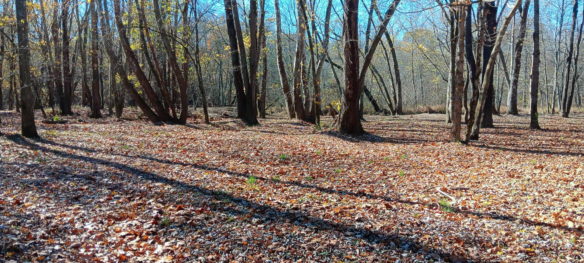 1462 Keystone Road, Unit RACCOON CREEK ADVENTURES) Vinton, OH 45686 - Photo 8 of 69
