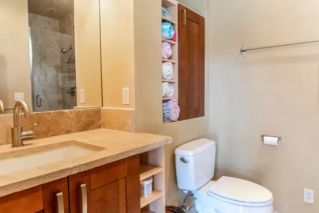 a bathroom with a sink a toilet and shower