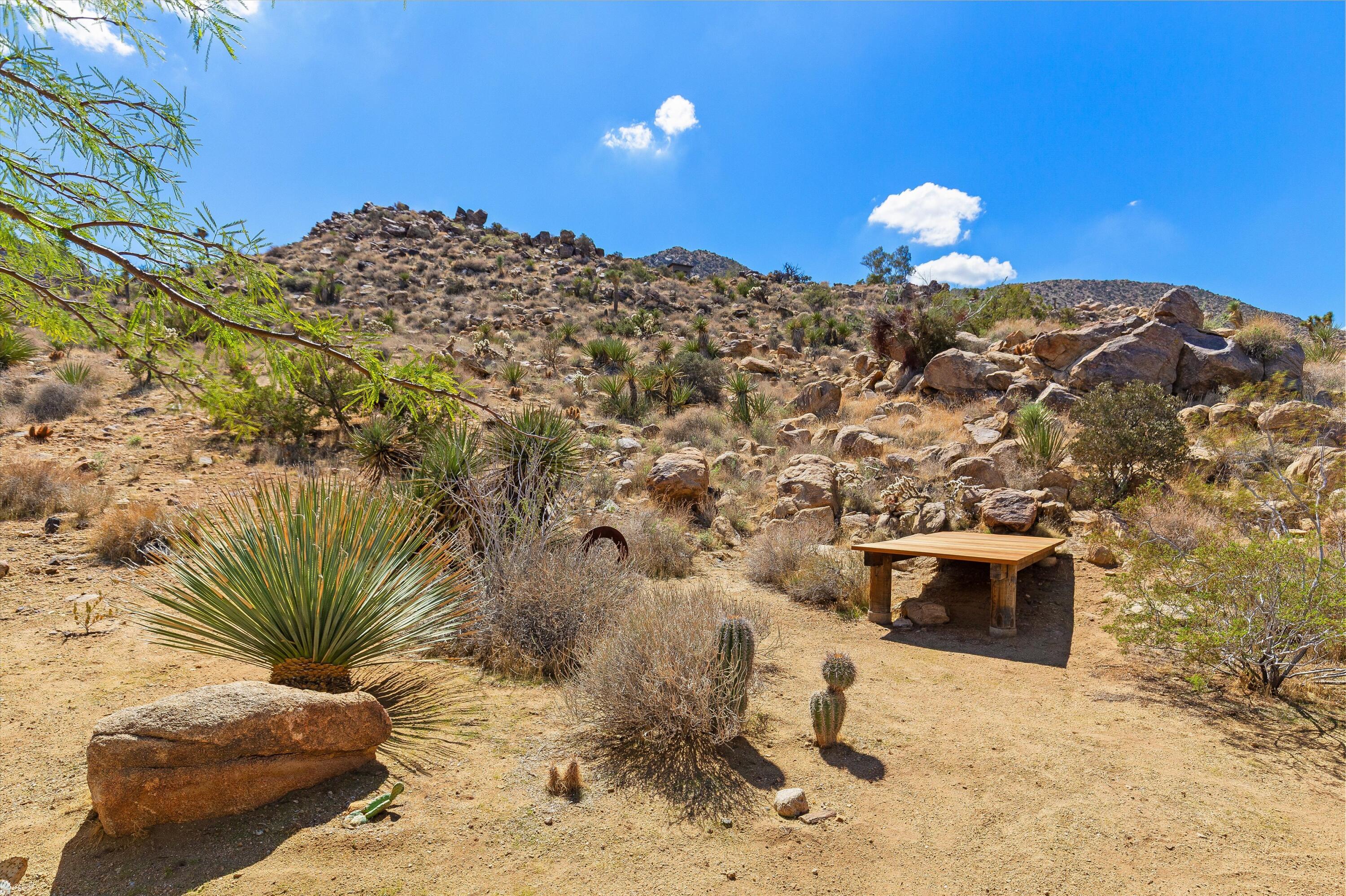 8744 Star Lane Joshua Tree, CA 92252 - Photo 15 of 55 a view of a wooden wall with a window