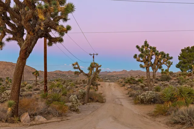 a view of a dry yard with mountains in the background