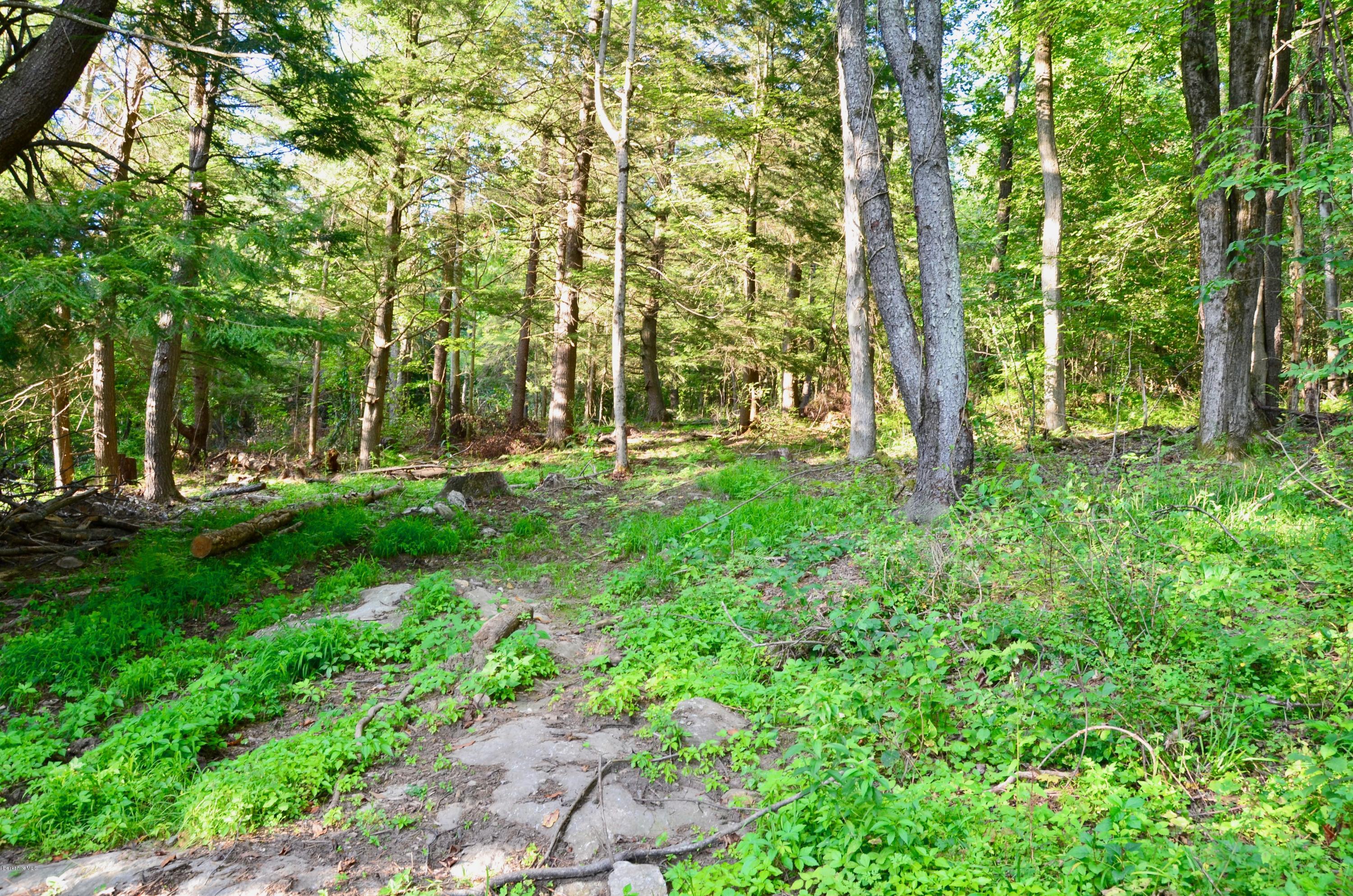 3 Main Road Tyringham, MA 01238 - Photo 14 of 17 a view of backyard with green space