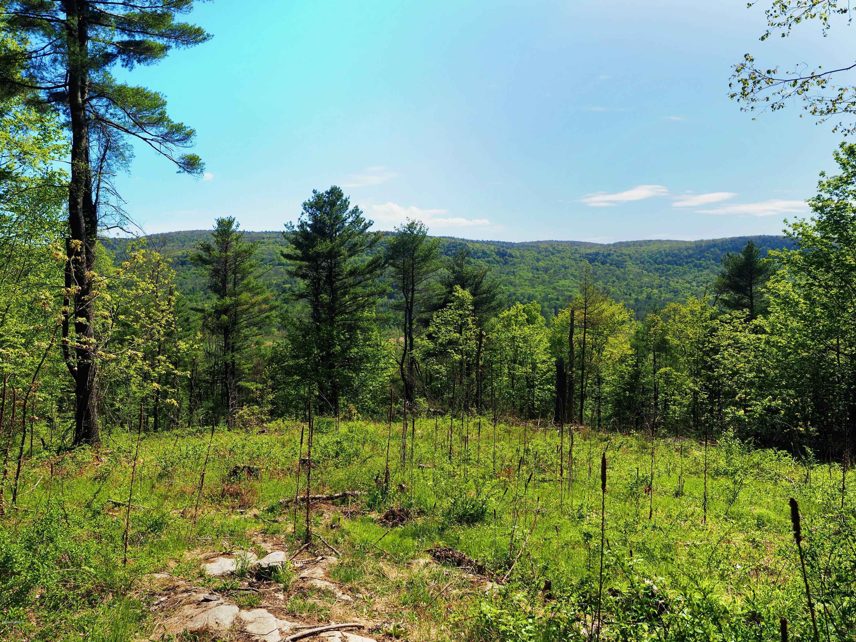 3 Main Road Tyringham, MA 01238 - Photo 8 of 17 a view of an outdoor space and a yard