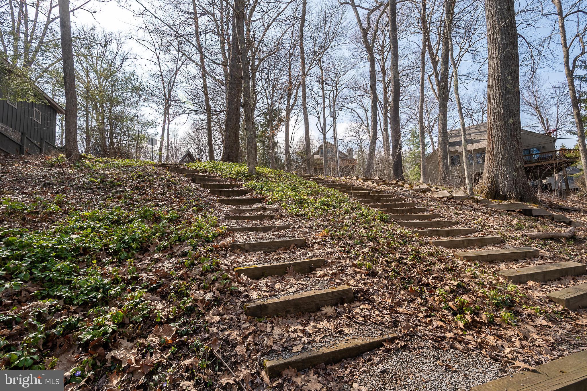 137 Paradise Gardens Road Oakland, MD 21550 - Photo 33 of 71