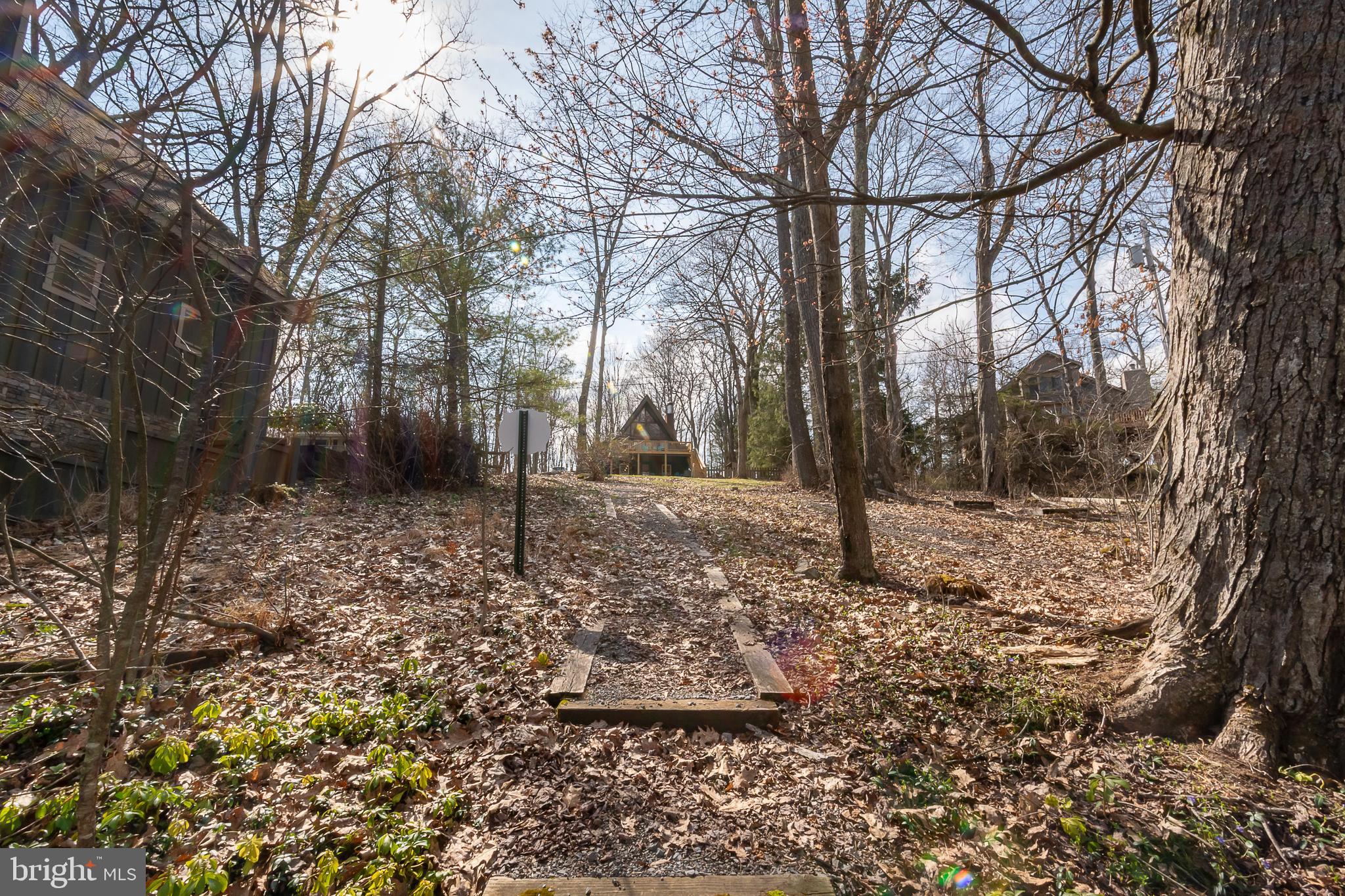 137 Paradise Gardens Road Oakland, MD 21550 - Photo 34 of 71