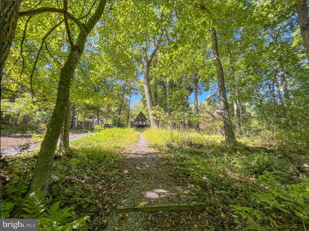 137 Paradise Gardens Road Oakland, MD 21550 - Photo 69 of 71