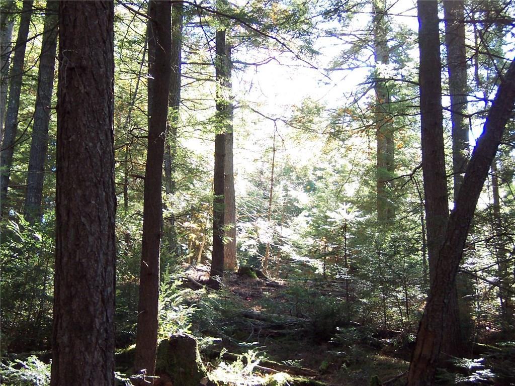 58 Intervale Road Freeport, ME 04032 - Photo 8 of 12 Photo