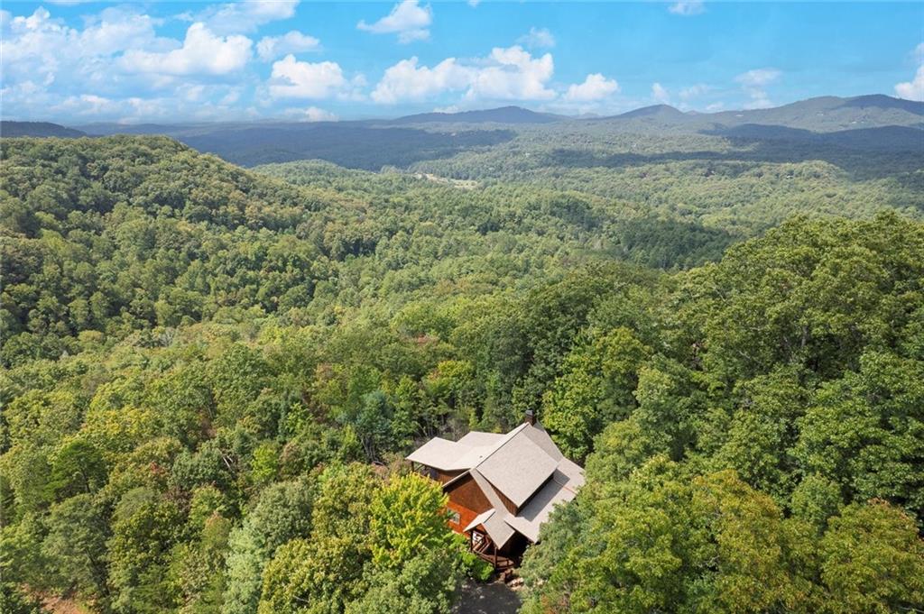 499 Raven Ridge Circle Mineral Bluff, GA 30559 - Photo 42 of 47