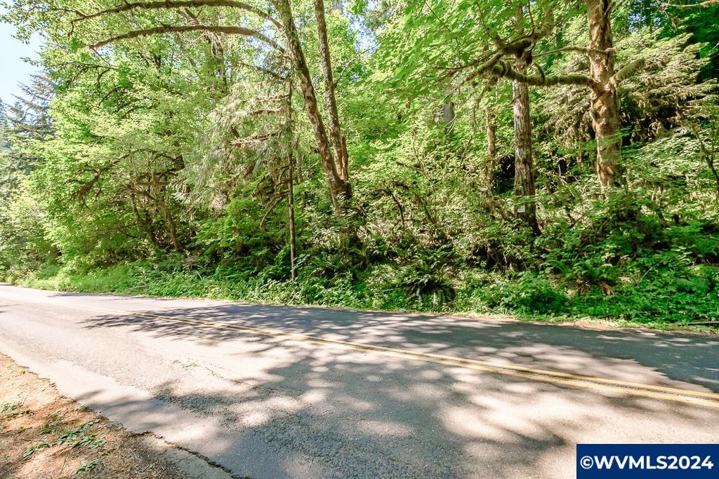 12860 Gilbert Creek Road Willamina, OR 97396 - Photo 35 of 38