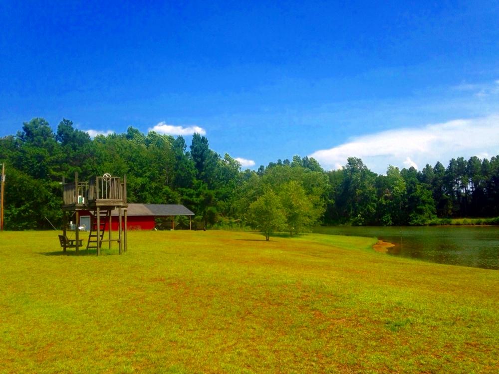 5600 Five Chop Road Bowman, SC 29018 - Photo 20 of 23 Felkel (21)