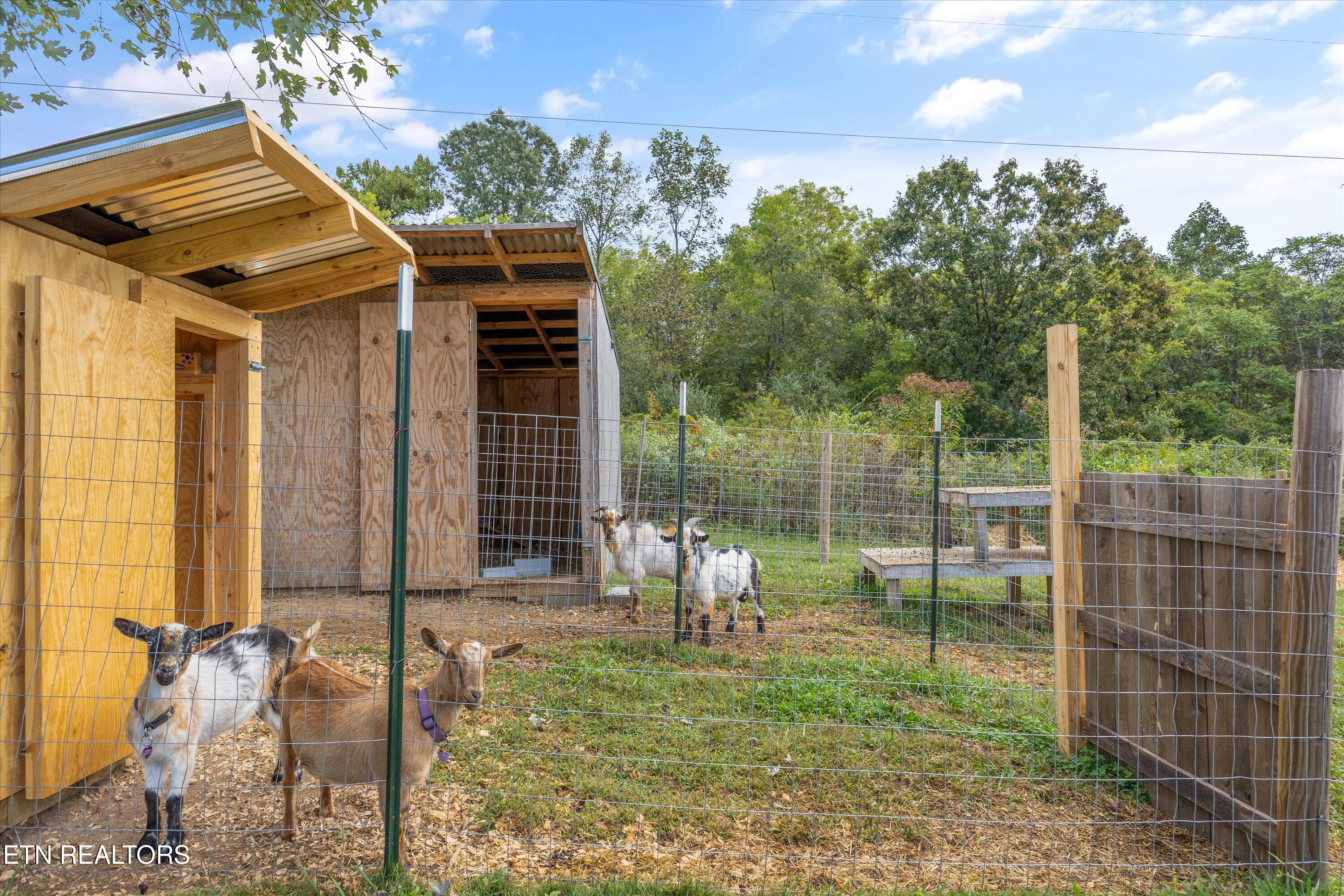 640 Camp Ridge Road La Follette, TN 37766 - Photo 28 of 40 28-640 Camp Ridge Rd -09