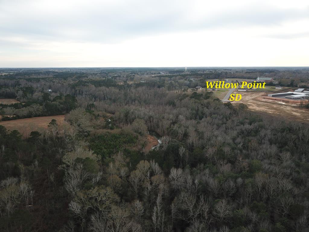 50.45-acres Trawick Road Dothan, AL 36301 - Photo 5 of 62