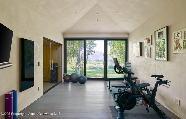 a view of a trees with yard