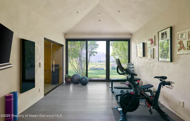 a view of a trees with yard