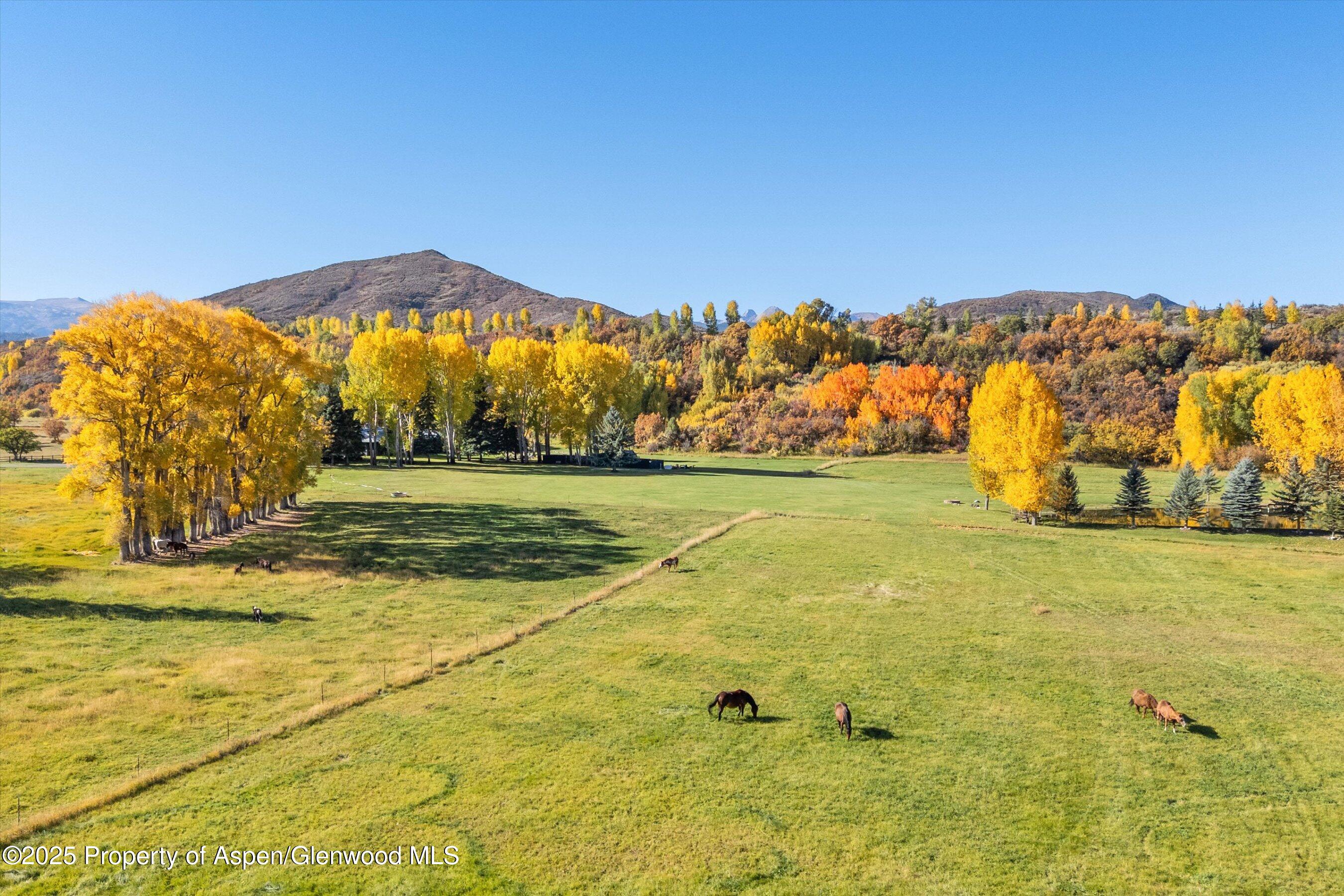 3333 Snowmass Creek Road Snowmass, CO 81654 - Photo 40 of 43 Fall Aerial