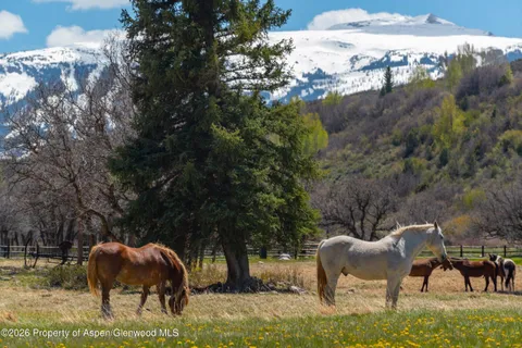$17,950,000 | 3333 Snowmass Creek Road, Snowmass, CO 81654