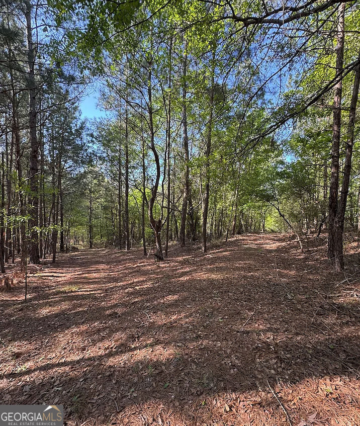 A Middle Ground Road Louisville, GA 30434 - Photo 2 of 4 a view of a backyard with large trees