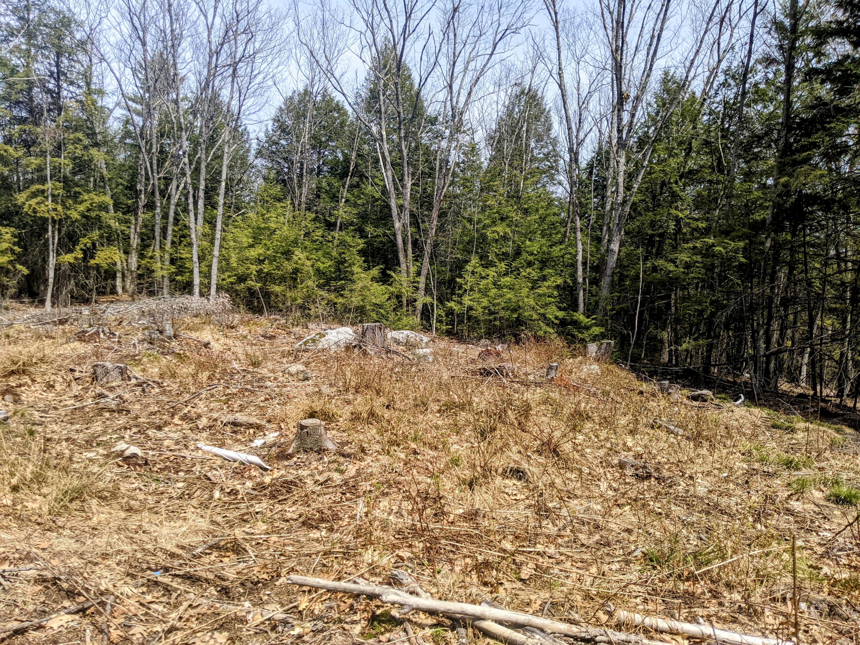 Tbd Penney Road New Gloucester, ME 04260 - Photo 4 of 4 Cleared area