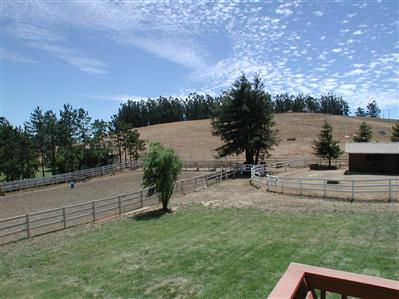 319 Mecham Road Petaluma, CA 94952 - Photo 3 of 12 a view of a yard with an outdoor space
