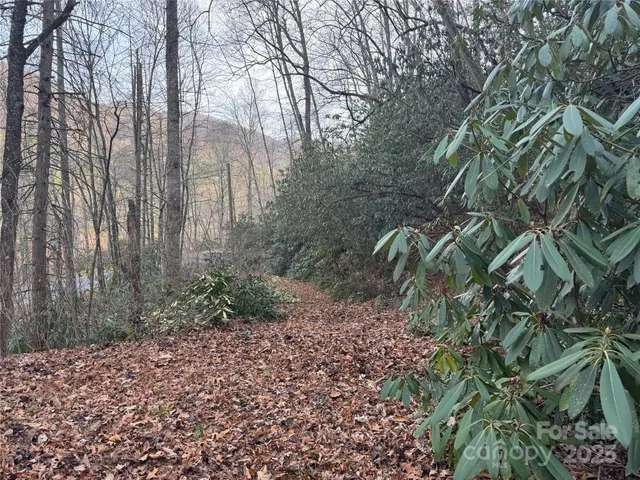 a view of backyard with green space