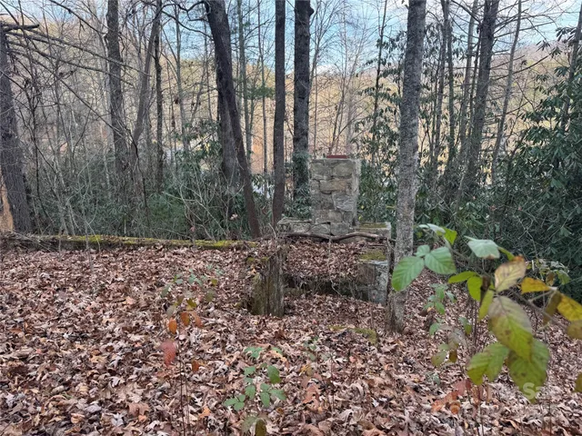 a big yard with lots of green space