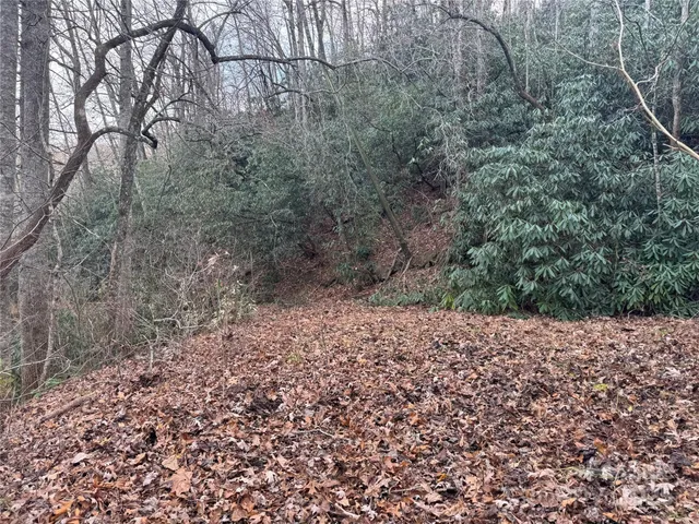 a view of a yard with plants and trees