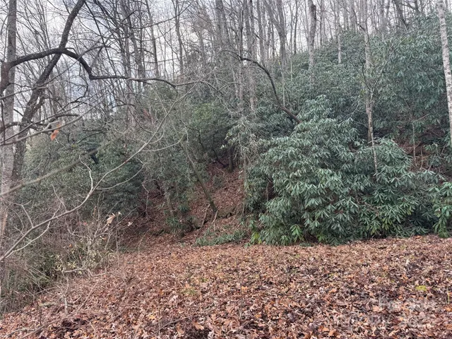 a big yard with lots of green space