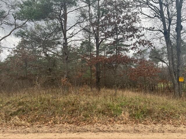6 State Road Luther, MI 49656 - Photo 8 of 18
