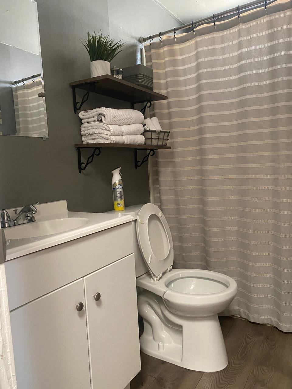 8300 Kern Canyon Road Bakersfield, CA 93306 - Photo 10 of 10 a bathroom with a sink a toilet and shower curtain