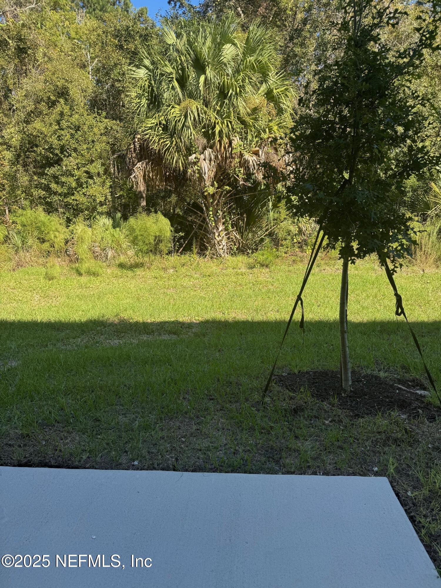 67 Blue Hvn Road St. Augustine, FL 32095 - Photo 26 of 58 a view of yard with an trees