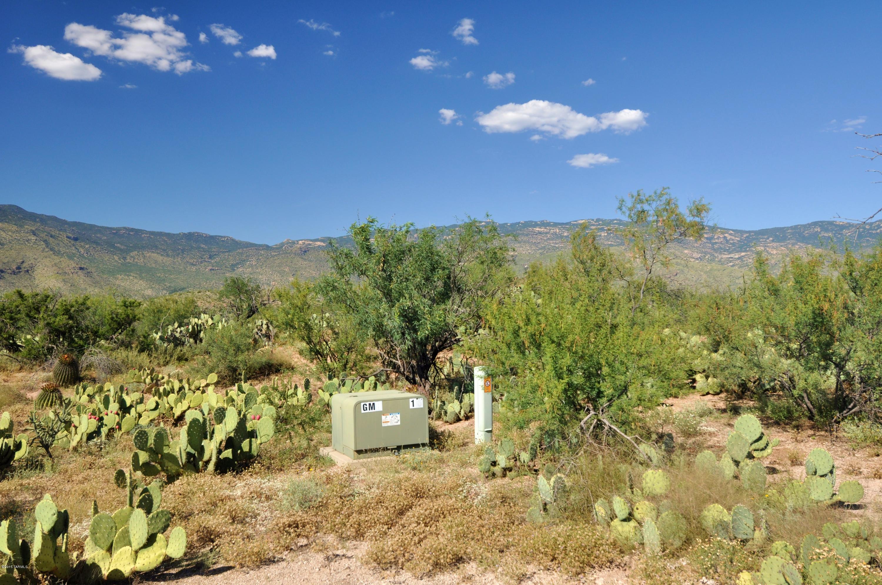 7542 South Pistol Hill Road Vail, AZ 85641 - Photo 4 of 16