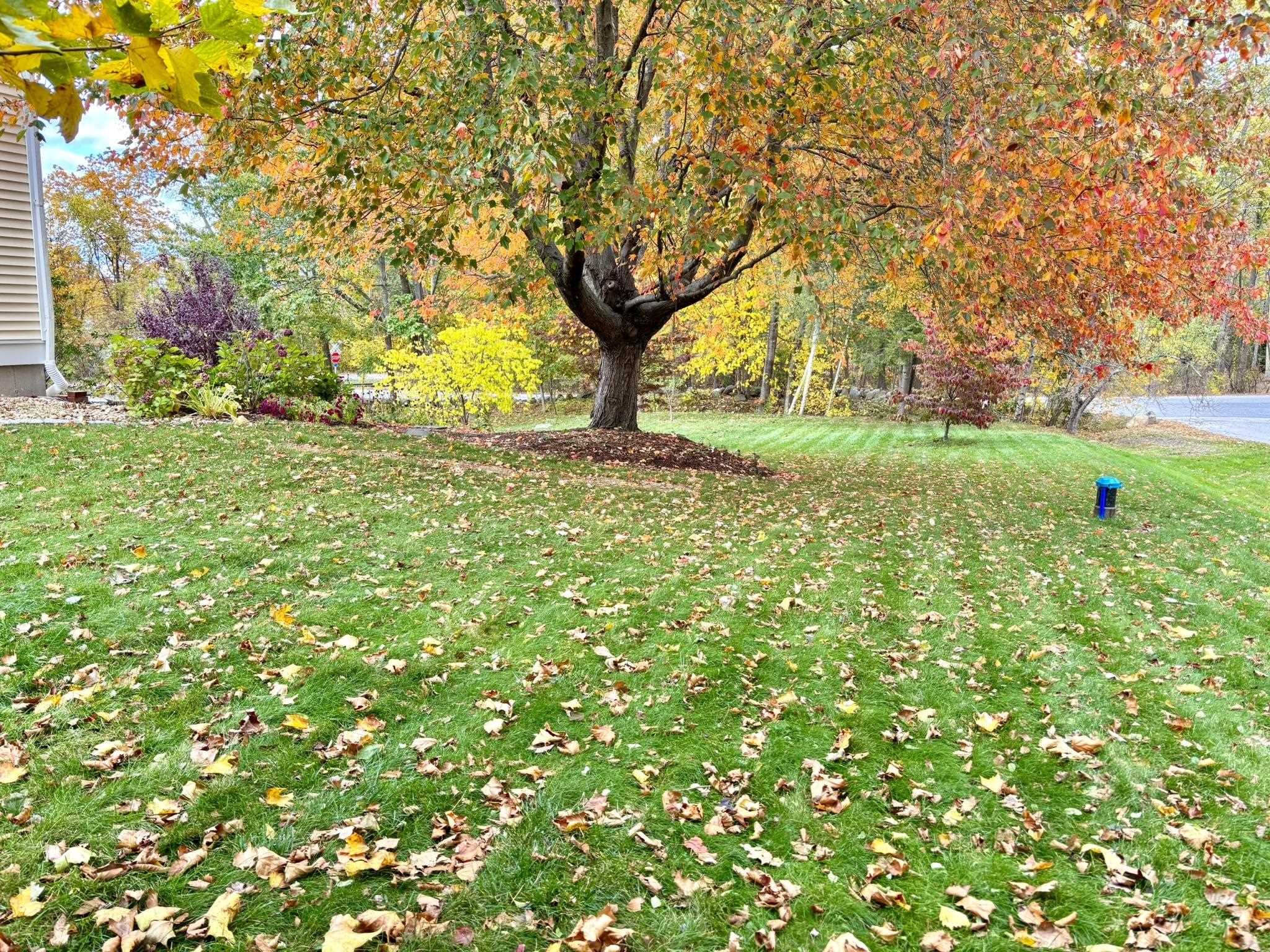 2 Orchard Hill Road Greenland, NH 03840 - Photo 46 of 49