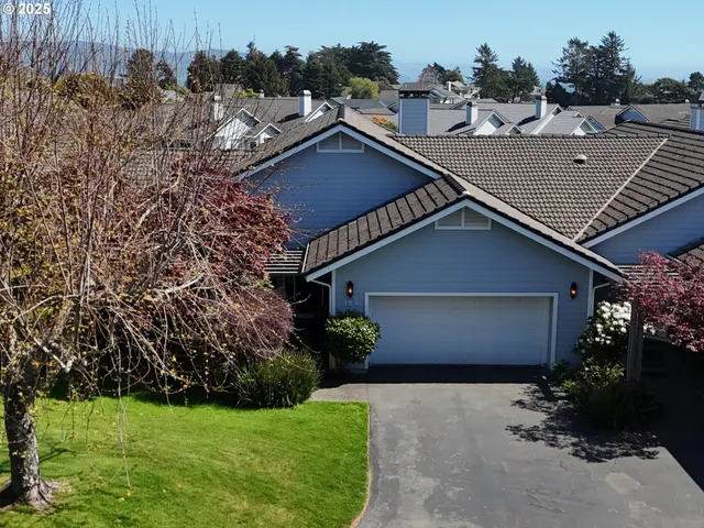 a view of a house with a yard potted plants and a large tree