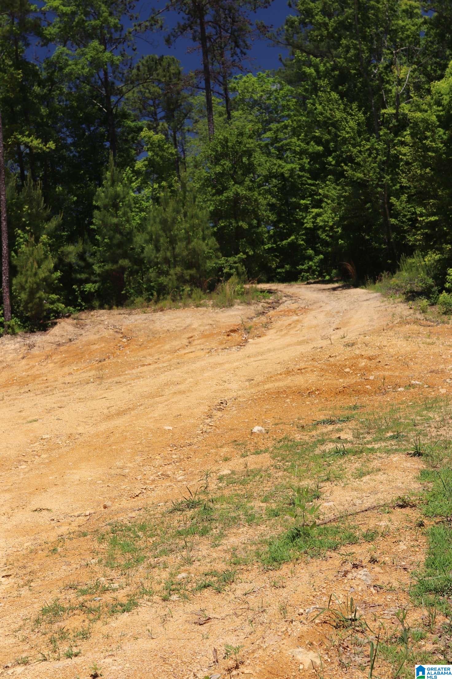 2930 Shocco Springs Road Talladega, AL 35160 - Photo 6 of 93