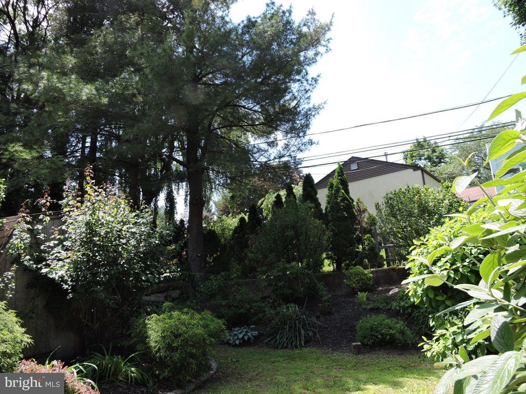 8038 Jenkintown Road Cheltenham, PA 19012 - Photo 8 of 60