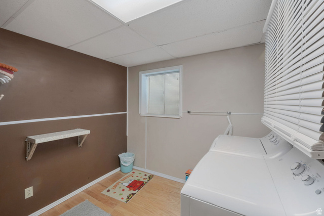 11072 Windy Peak Ridge Drive, Unit 32 Sandy, UT 84094 - Photo 30 of 30 Dedicated utility room featuring a drop ceiling, light wood-finish flooring, a functional window with blinds, and a wall-mounted shelving unit