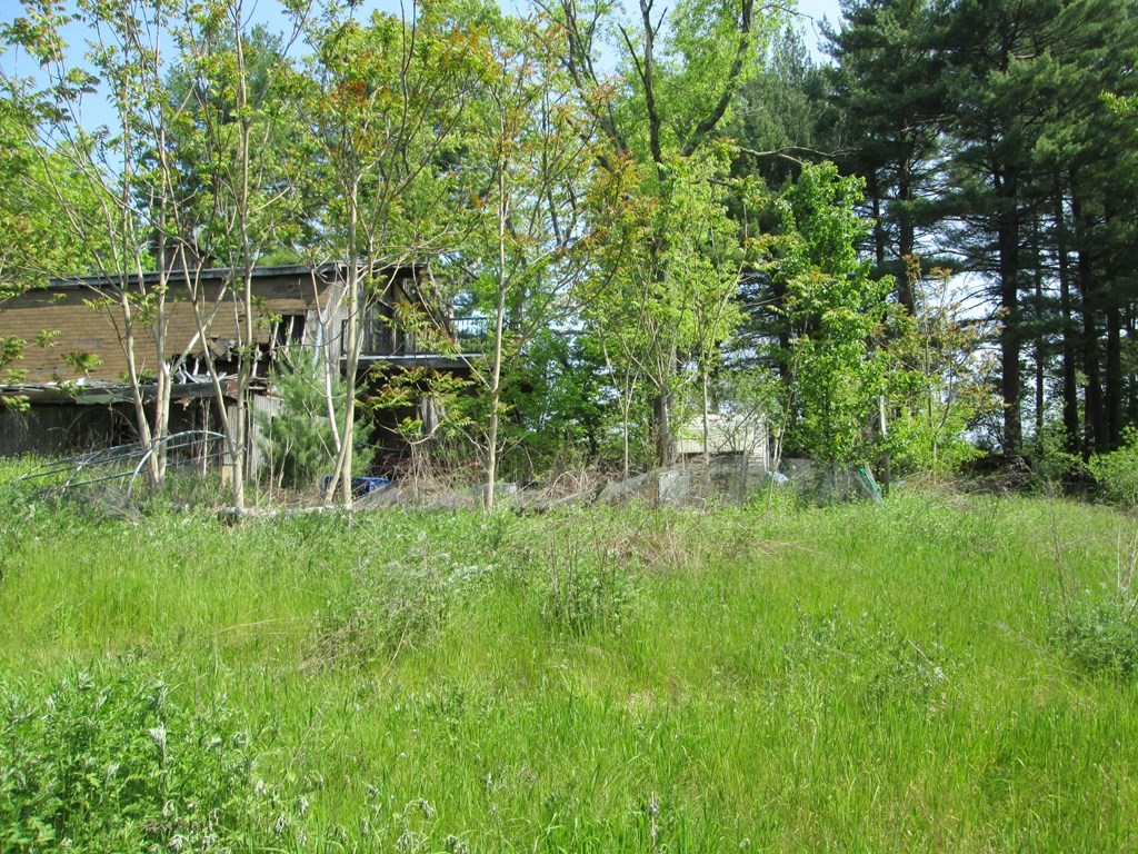 9 Dell Hollow Road Billerica, MA 01821 - Photo 38 of 41 Gallery Image 38