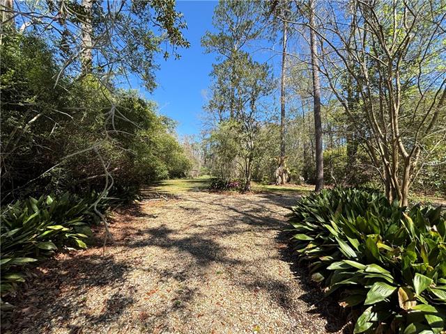 707 Copal Street Mandeville, LA 70448 - Photo 11 of 11