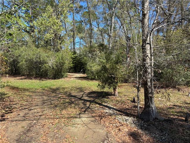 707 Copal Street Mandeville, LA 70448 - Photo 3 of 11
