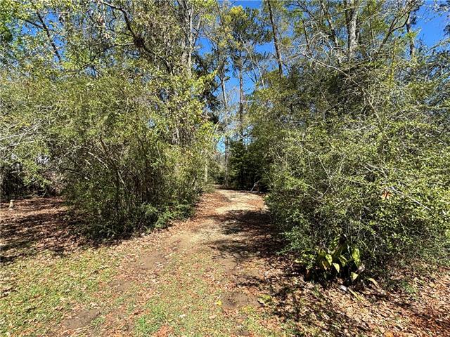 707 Copal Street Mandeville, LA 70448 - Photo 5 of 11