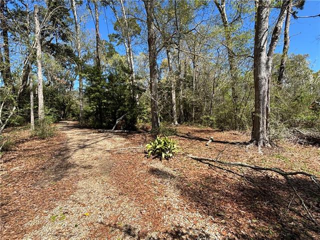 707 Copal Street Mandeville, LA 70448 - Photo 7 of 11
